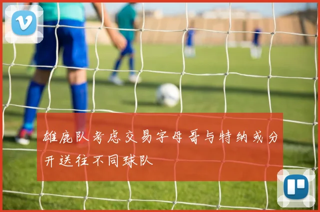 雄鹿队考虑交易字母哥与特纳或分开送往不同球队